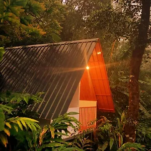 Teadrops Plantation , Munnar India