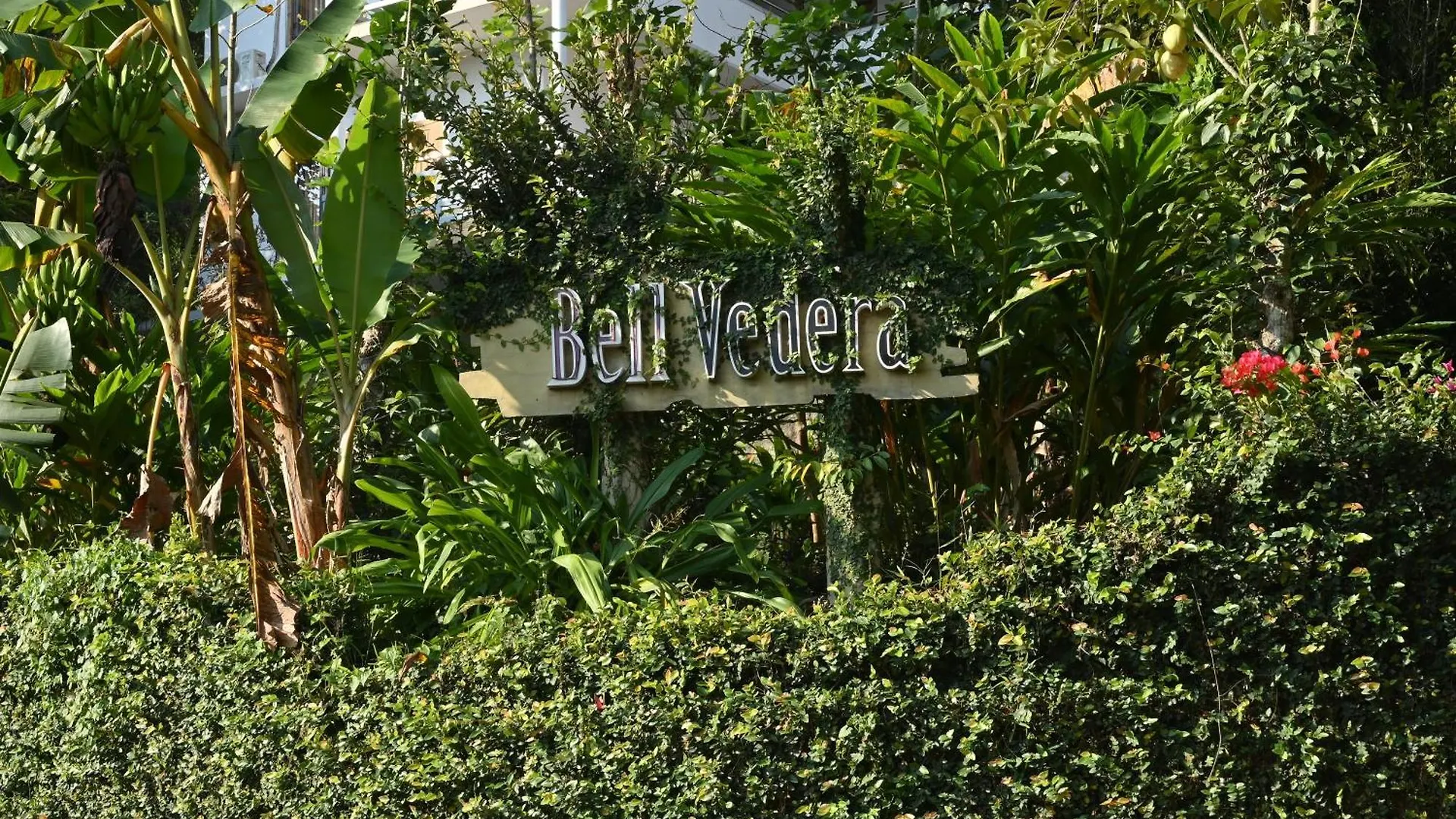 Bell Vedera Resort Munnar