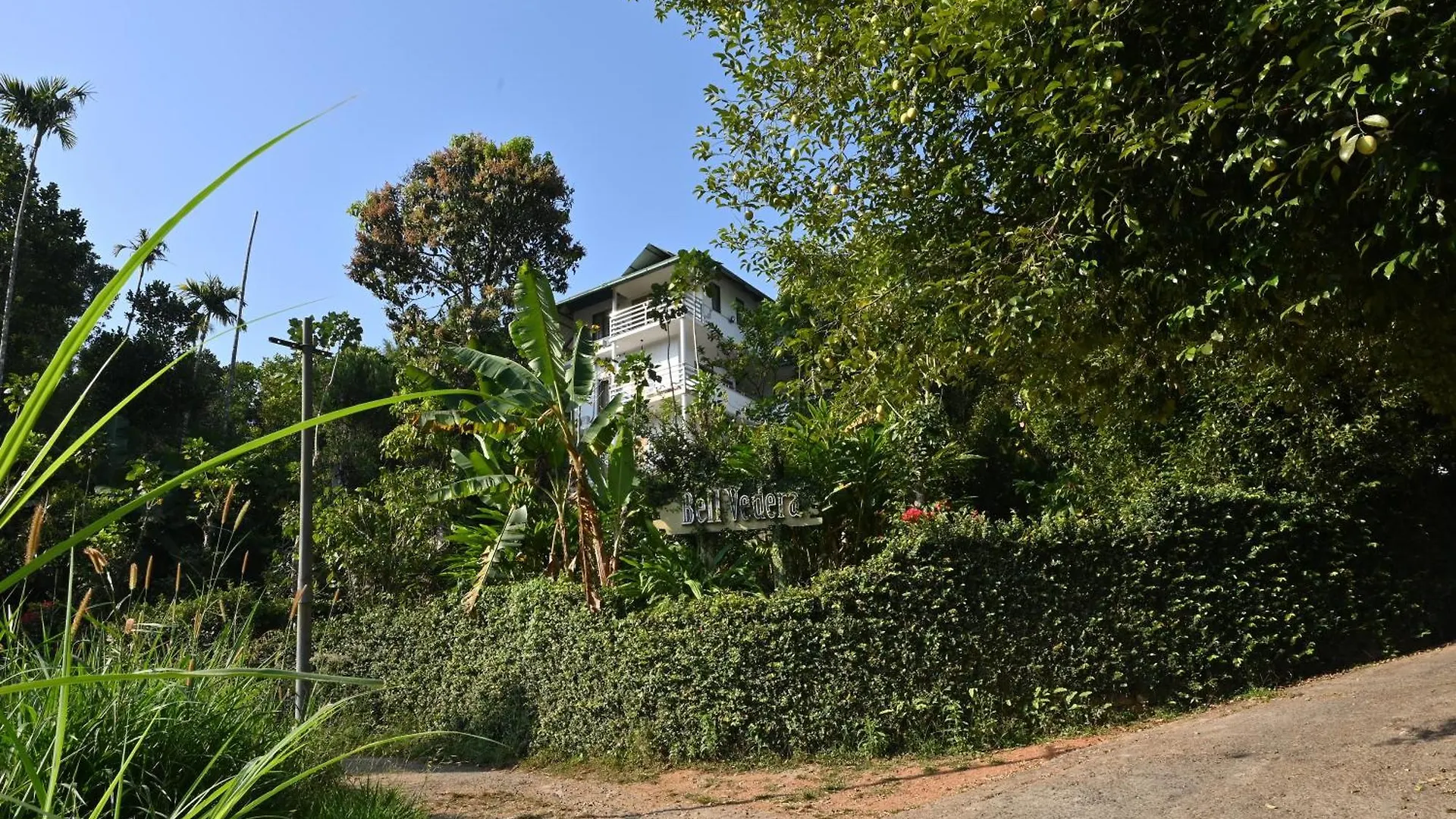 Bell Vedera Resort Munnar